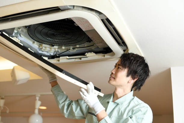 Best Dryer Vent Cleaning Services  in Larimore, ND